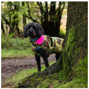2025 Dryrobe Dog Coat V3 DRV3 - Camouflage / Pink